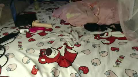 Cherry online show from April 17, 4:54 pm