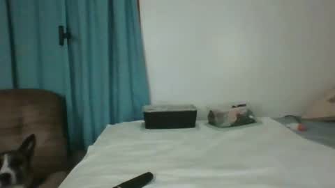 Snapshot of chevybear69 chatting on June 11, 1:16 am Jade and Thomas online show from June 11, 1:16 am
