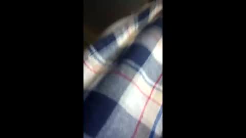 Snapshot of chi579822 chatting on March 14, 4:29 am chi579822 online show from March 14, 4:29 am