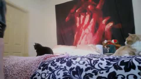 ChinaCove online show from February 16, 12:40 am