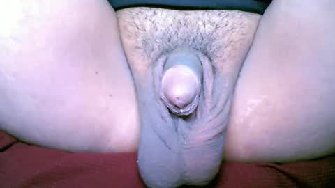 chinny_fuckdoll online show from February 3, 3:15 am