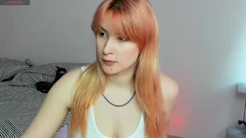 Snapshot of choco_meowx chatting on May 21, 9:16 am choco_meowx online show from May 21, 9:16 am