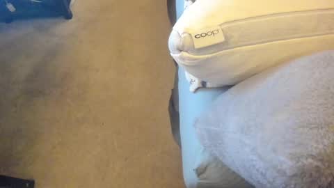 Snapshot of chris_martinson chatting on February 27, 12:43 am Chris Martinson XXX online show from February 27, 12:43 am