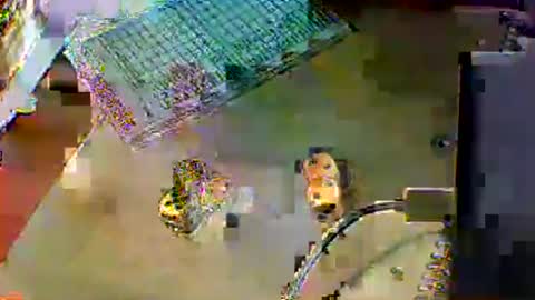 chubbyboy1986 online show from October 17, 10:01 pm