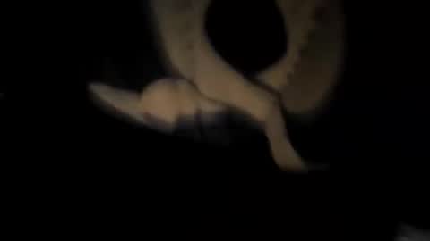 chuck7891 online show from November 30, 12:47 am