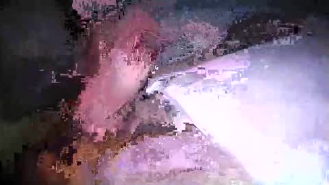 cicuta15 online show from March 17, 1:10 am