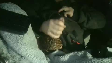 cisalo2501 online show from February 7, 6:50 am