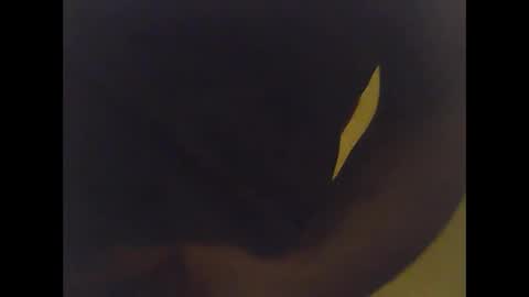 Snapshot of cobra1092 chatting on February 2, 6:01 am cobra1092 online show from February 2, 6:01 am