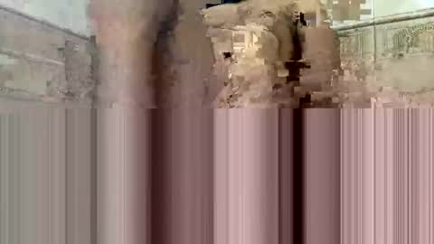 Snapshot of cockdoc4444 chatting on October 15, 5:40 am cockdoc4444 online show from October 15, 5:40 am