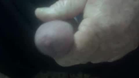 cocktoys online show from February 1, 4:11 am