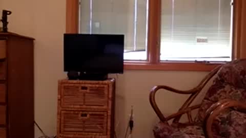 Snapshot of codebynova chatting on November 8, 7:56 pm Code By Nova online show from November 8, 7:56 pm