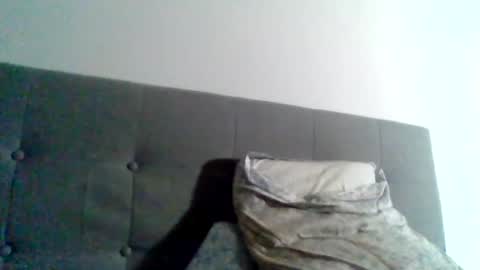 Snapshot of college_muscle chatting on January 1, 10:43 am foreverxshredded online show from January 1, 10:43 am
