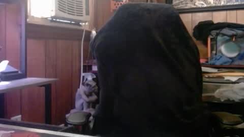 Snapshot of comic_king27 chatting on March 8, 1:59 pm Nelson or ComicKing and sometime Peachy143 online show from March 8, 1:59 pm