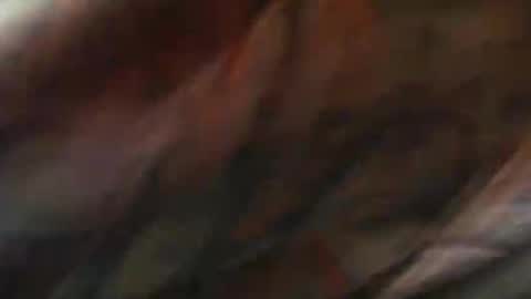 Snapshot of comox1961 chatting on February 10, 9:04 am comox online show from February 10, 9:04 am