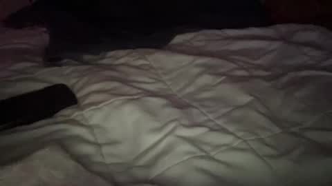 concretecarpenter online show from November 9, 8:12 am