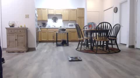 copper_crotch online show from January 11, 1:43 am