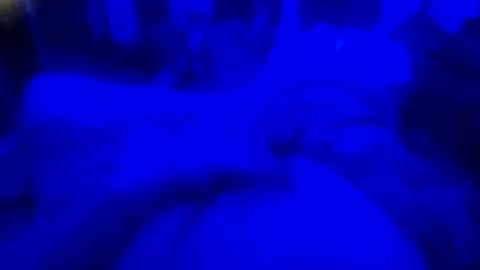 Countrystudd online show from December 23, 8:12 am