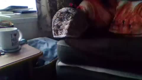 Snapshot of courieral1 chatting on February 15, 8:00 am courieral1 online show from February 15, 8:00 am