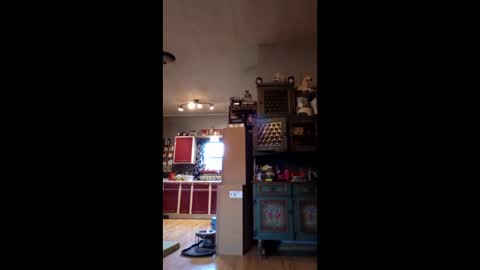 craig232301327629 online show from January 9, 1:36 pm