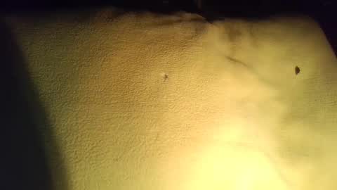 crave_me_ online show from November 29, 3:53 am