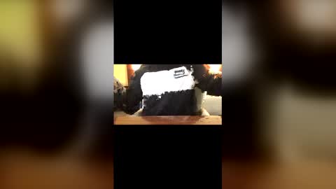 Snapshot of creamycurtis chatting on March 22, 2:37 am Curtis online show from March 22, 2:37 am