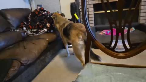 Snapshot of creeeping_death chatting on September 27, 8:08 am The hopeless romantic online show from September 27, 8:08 am