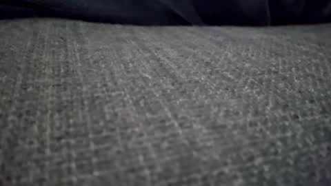 crispics69 online show from January 16, 1:04 pm