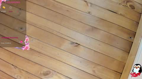 Cristal online show from February 23, 4:10 am