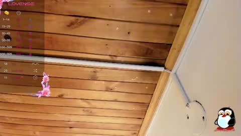 Snapshot of cristal__hot_1 chatting on June 14, 4:14 am Cristal online show from June 14, 4:14 am
