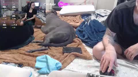 Snapshot of crownandkat chatting on March 2, 11:33 pm Crownandkat online show from March 2, 11:33 pm