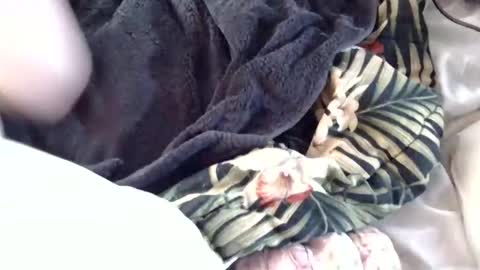 Crucifux online show from January 30, 8:31 pm