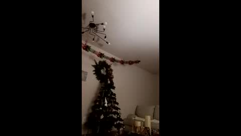 Bella online show from December 23, 3:48 am