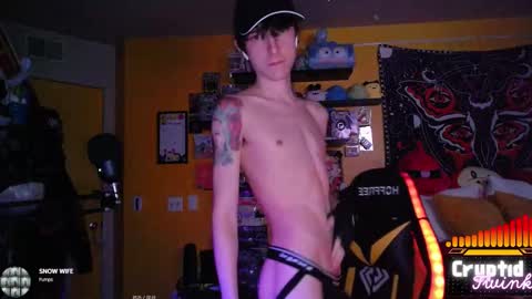 CryptidTwink online show from February 19, 6:53 am