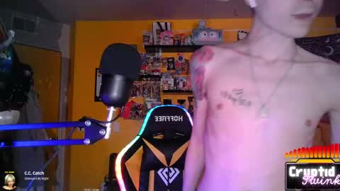 CryptidTwink online show from March 18, 6:27 am