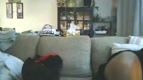 Snapshot of cumdumpslutfag chatting on June 11, 9:51 am cumdumpslutfag online show from June 11, 9:51 am