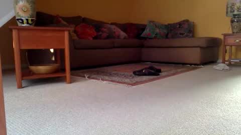 cumonherguys online show from November 17, 9:37 am