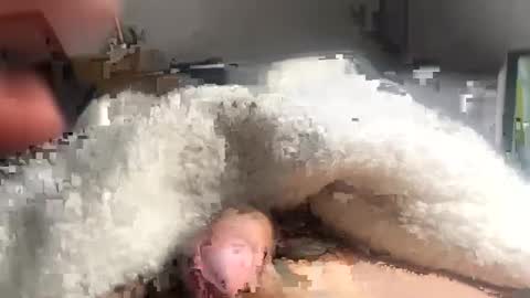 Snapshot of cumonmyf33t chatting on February 22, 12:19 pm cumonmyf33t online show from February 22, 12:19 pm