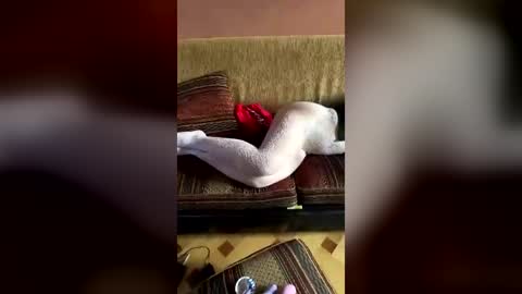 Erics couple online show from August 1, 3:06 am