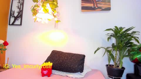 Rose online show from January 28, 8:04 pm