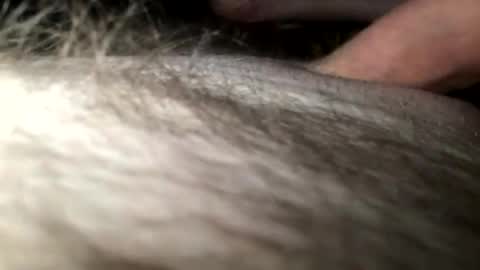 Snapshot of cutcockguy1975 chatting on January 28, 4:18 am Steve online show from January 28, 4:18 am