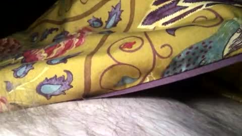 Snapshot of cutcockguy1975 chatting on February 10, 11:34 pm Steve online show from February 10, 11:34 pm