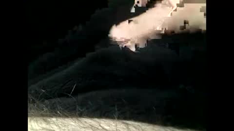 Snapshot of cutcockguy1975 chatting on February 11, 5:50 pm Steve online show from February 11, 5:50 pm