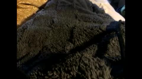 Snapshot of cutcockguy1975 chatting on March 2, 12:54 pm Steve online show from March 2, 12:54 pm