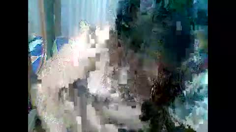 Snapshot of cutechubbyasian chatting on April 26, 11:30 am cutechubbyasian online show from April 26, 11:30 am