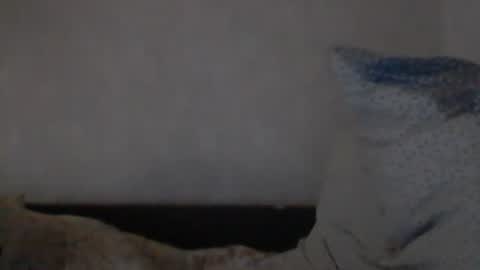 cutekattie online show from December 8, 9:24 am