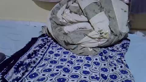Snapshot of cuttepappy chatting on June 15, 8:22 pm cuttepappy online show from June 15, 8:22 pm