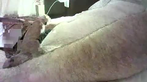 Snapshot of cv79brctba chatting on October 29, 2:58 am cv79brctba online show from October 29, 2:58 am