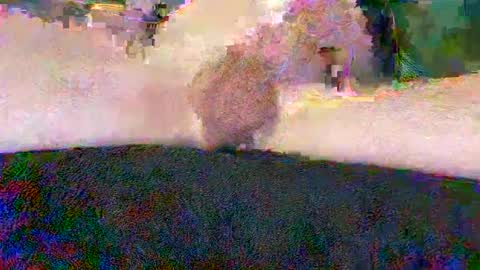 Snapshot of cwaddle chatting on January 10, 3:48 pm cwaddle online show from January 10, 3:48 pm