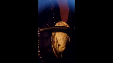 Daddett iS Wett online show from March 17, 5:22 am