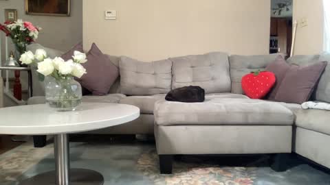 Belle  Email daddydaycarecb  online show from February 22, 5:55 pm